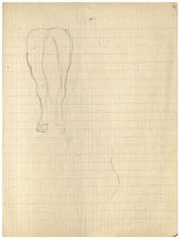 Visualizza l'immagine "FD Album 7, 11 r."